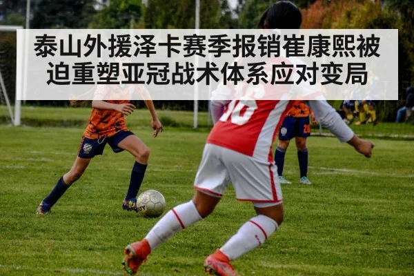 泰山外援泽卡赛季报销崔康熙被迫重塑亚冠战术体系应对变局